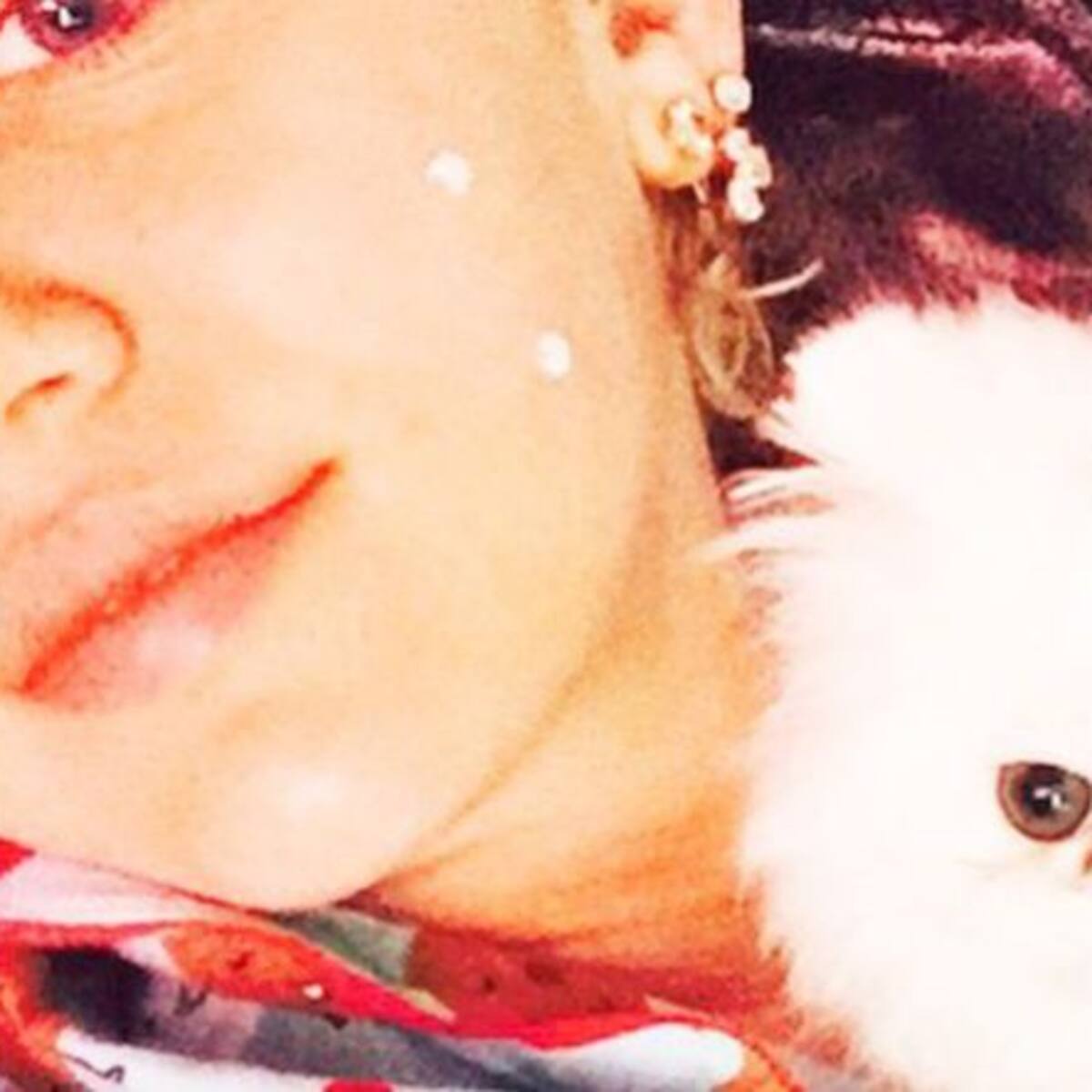 Miley Cyrus hace famosa a su nueva mascota