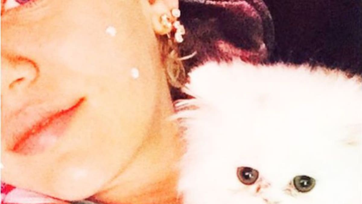 Miley Cyrus hace famosa a su nueva mascota