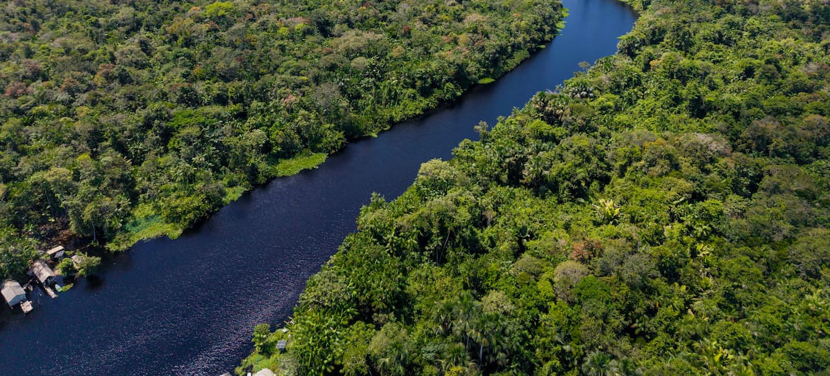 La Amazonía, en peligro.