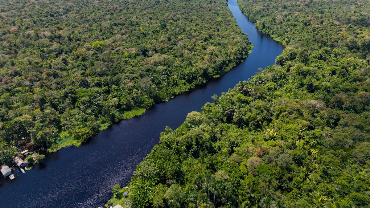 La Amazonía podría convertirse en una sabana antes de lo esperado