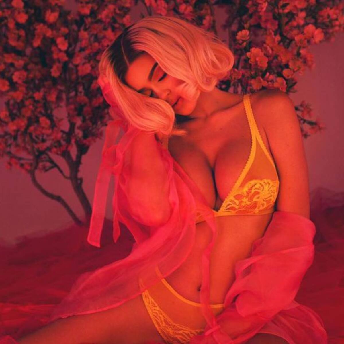 ¡Kylie Jenner embarazada!