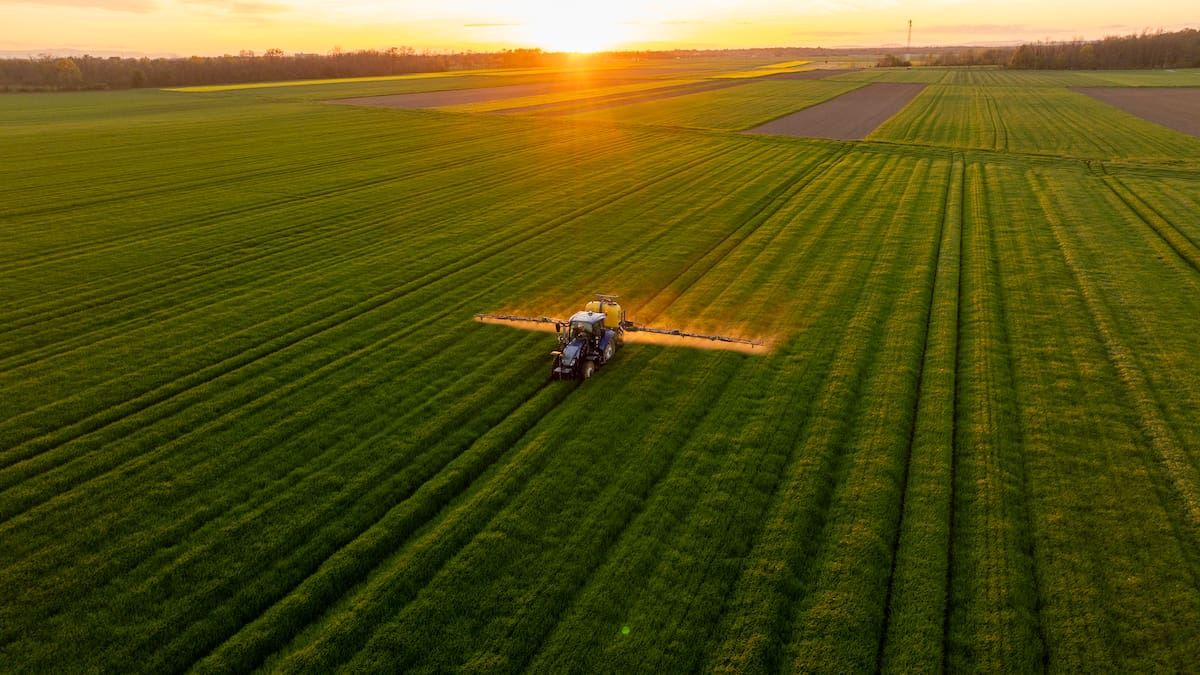 Los ecologistas, contra el plan del Gobierno para los fertilizantes: "Nos hace más dependientes del gas y pone en riesgo el futuro del campo"