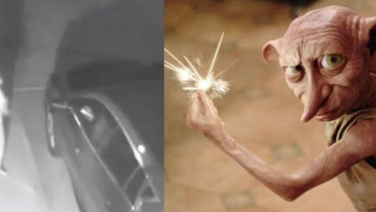 Encontraron a una extraña criatura parecida a Dobby de Harry Potter