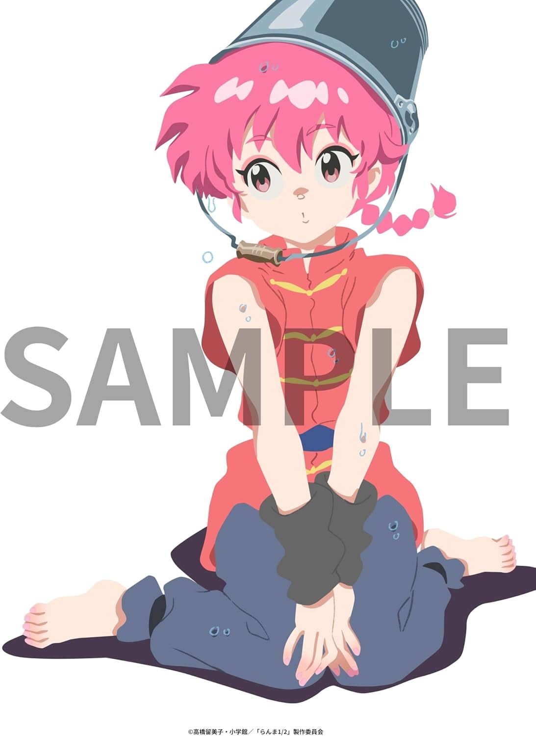 Imagen promocional de los nuevos Blu-Ray de Ranma 1/2.
