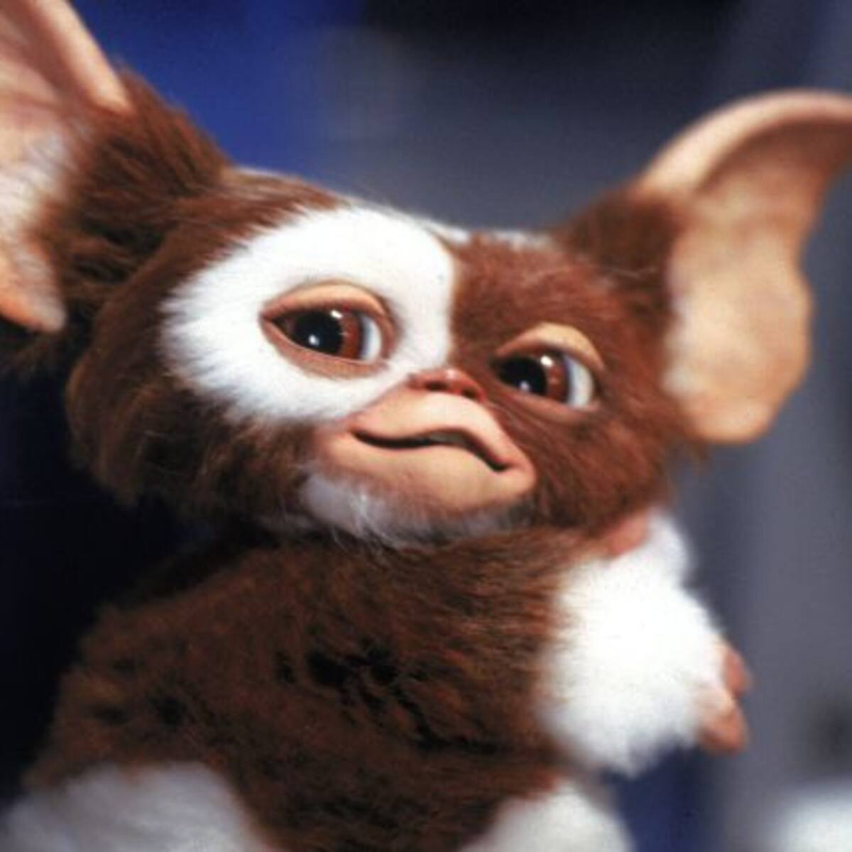 ¡Lo sabíamos! Los Gremlins tendrán tercera parte