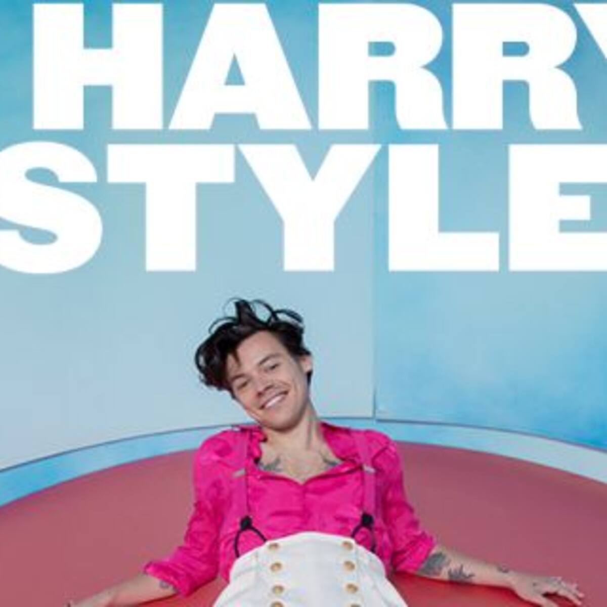 ¡Harry Styles anunció su show en Argentina!