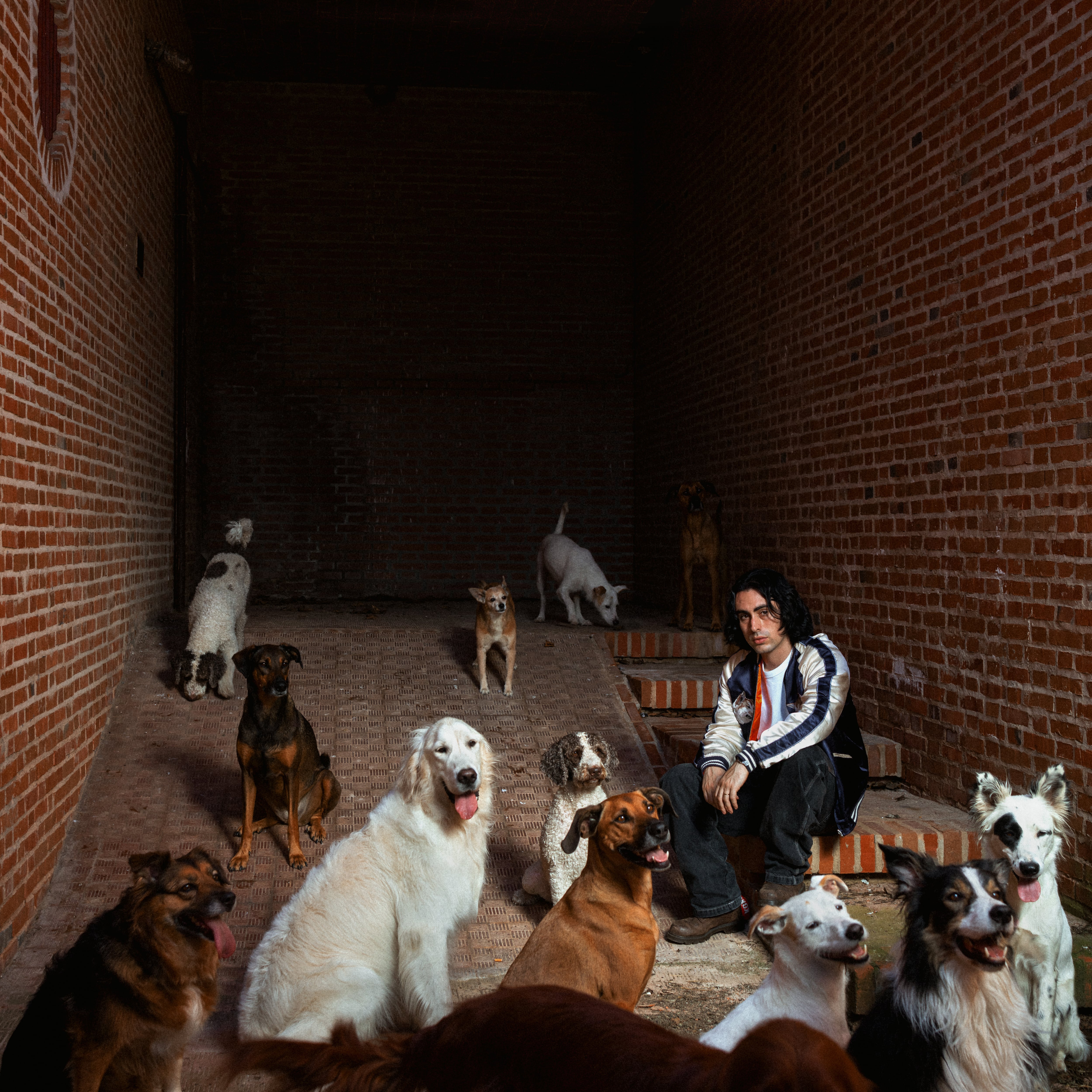 Depresión Sonora, en la portada de su disco 'Los Perros no entienden de Internet.. (y yo no entiendo de sentimientos)'. Cedida por Sonido Muchacho.