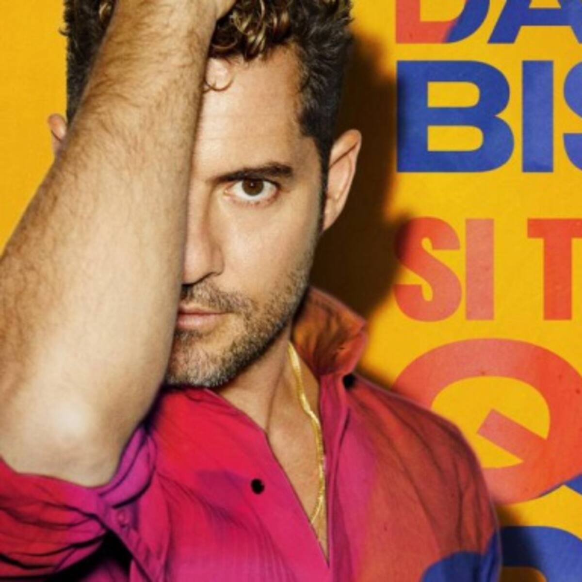 "Si tú la quieres' de David Bisbal más tropical