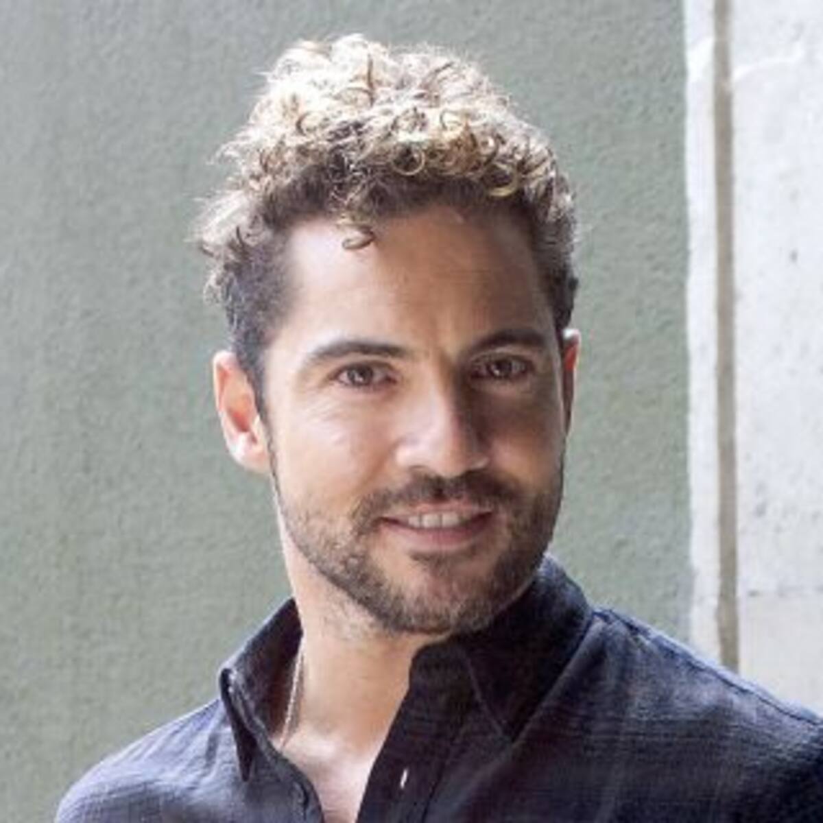 David Bisbal pela físico en las redes