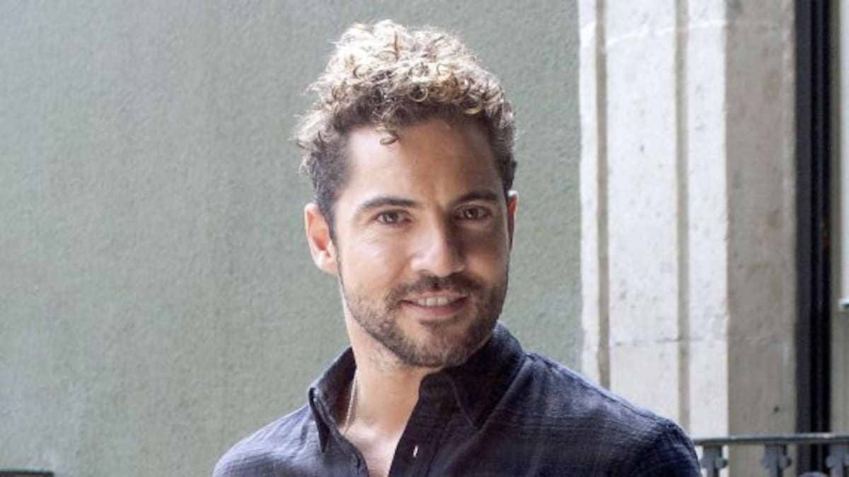 David Bisbal pela físico en las redes