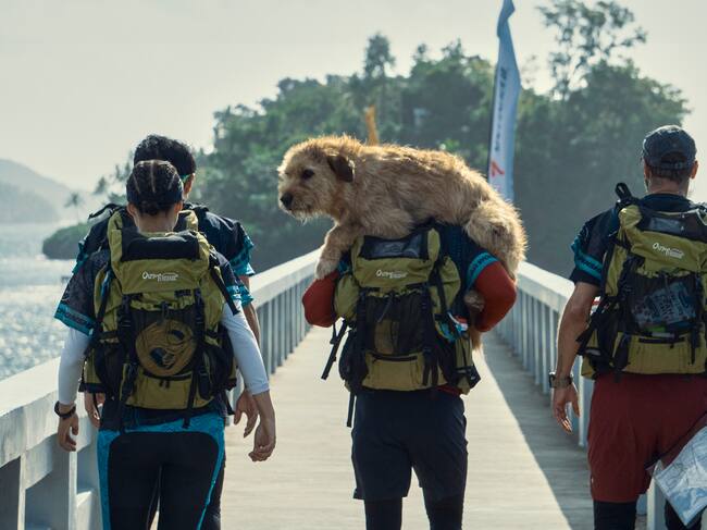 Un fotograma de 'ARTHUR'. Carlos Rodriguez/Diamond Films.