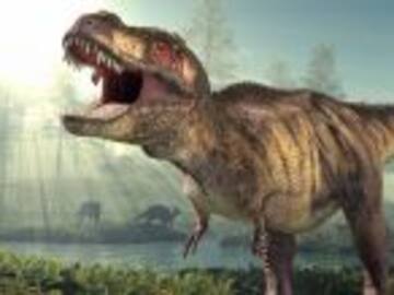 La &quot;verdadera&quot; razón de que los T-rex tuvieran brazos pequeños