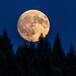 Rituales para el eclipse lunar total: así puedes aprovechar su energía