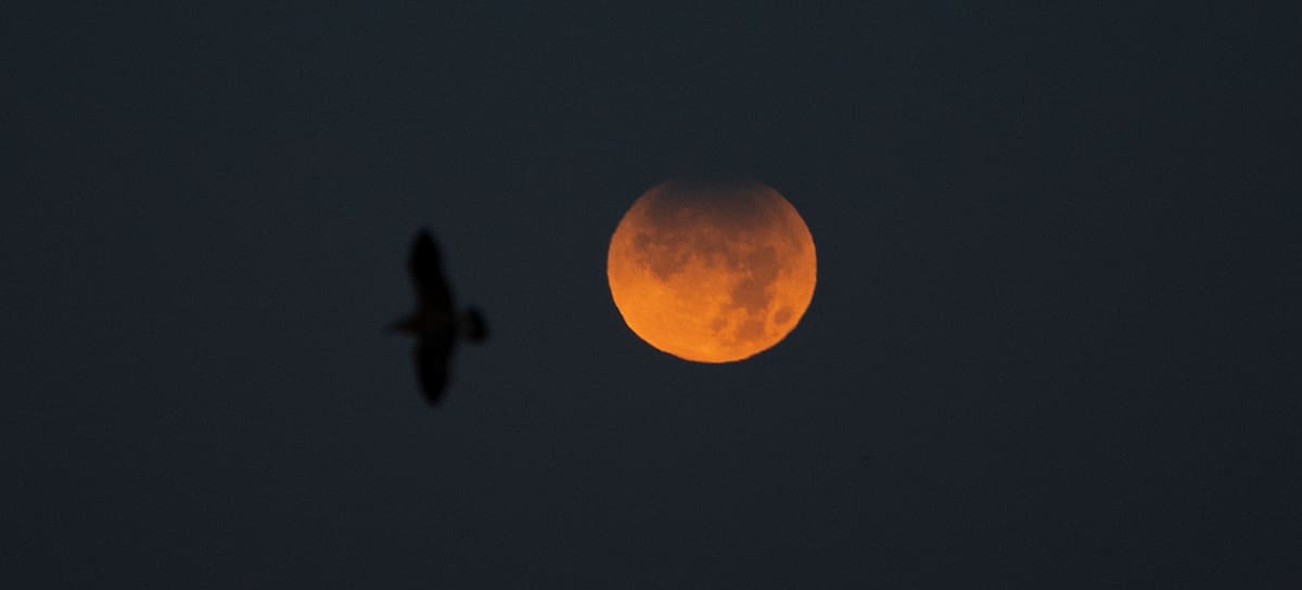 Eclipse lunar parcial de agosto 2026