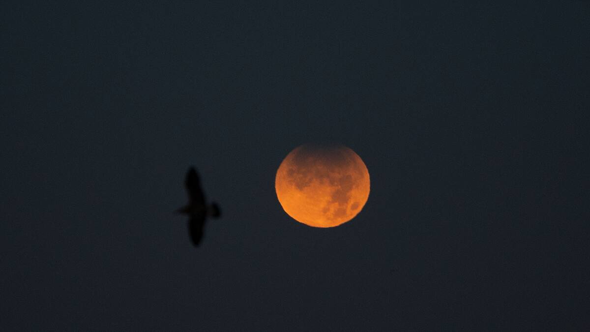 Rituales para el eclipse lunar parcial de agosto 2026: así puedes protegerte energéticamente