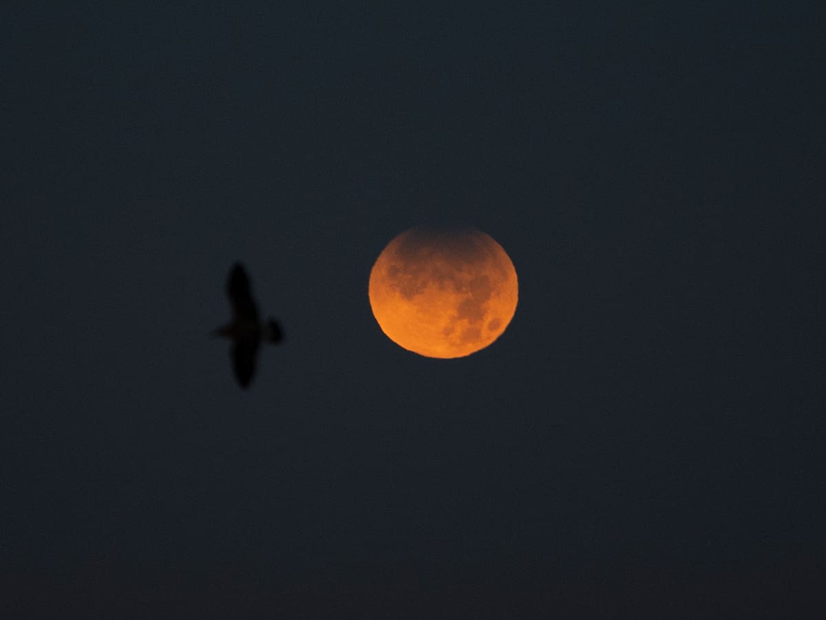 Rituales para el eclipse lunar parcial de agosto 2026: así puedes protegerte energéticamente