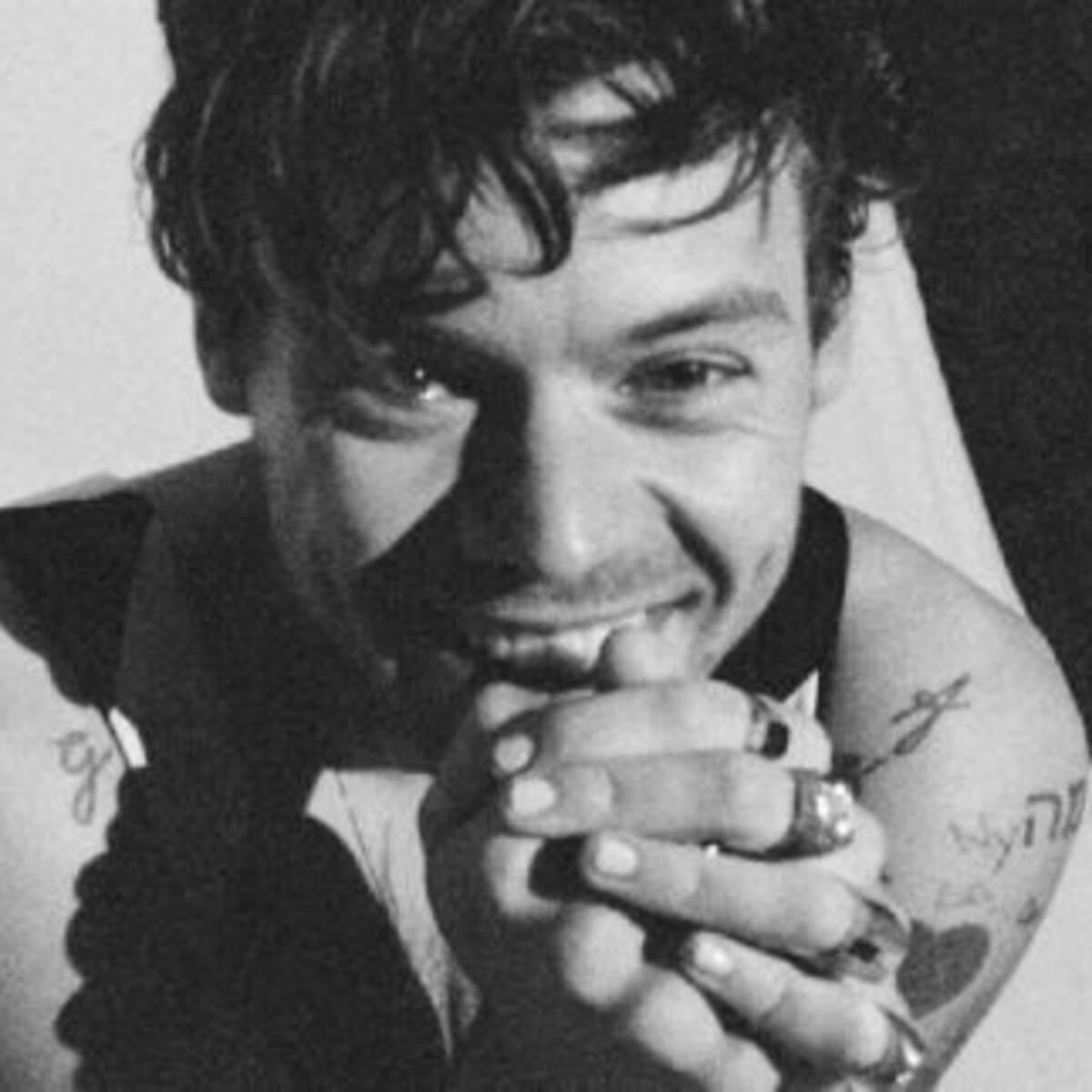 ¿Este perrito será fan de Harry Styles?