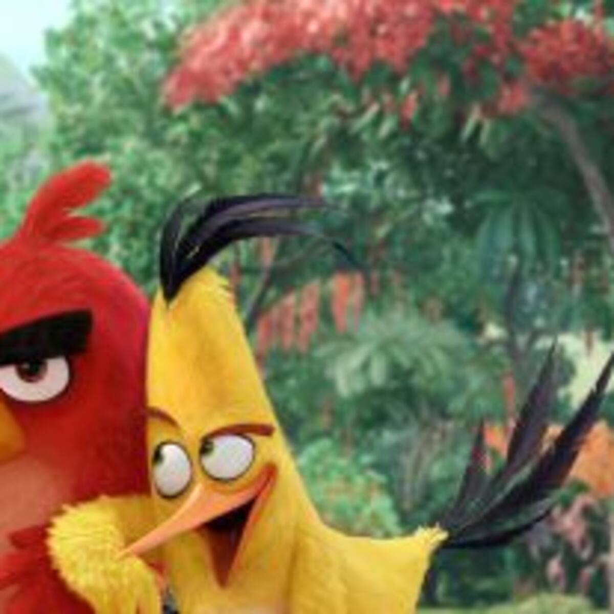 Mirá el trailer de Angry Birds: La Película