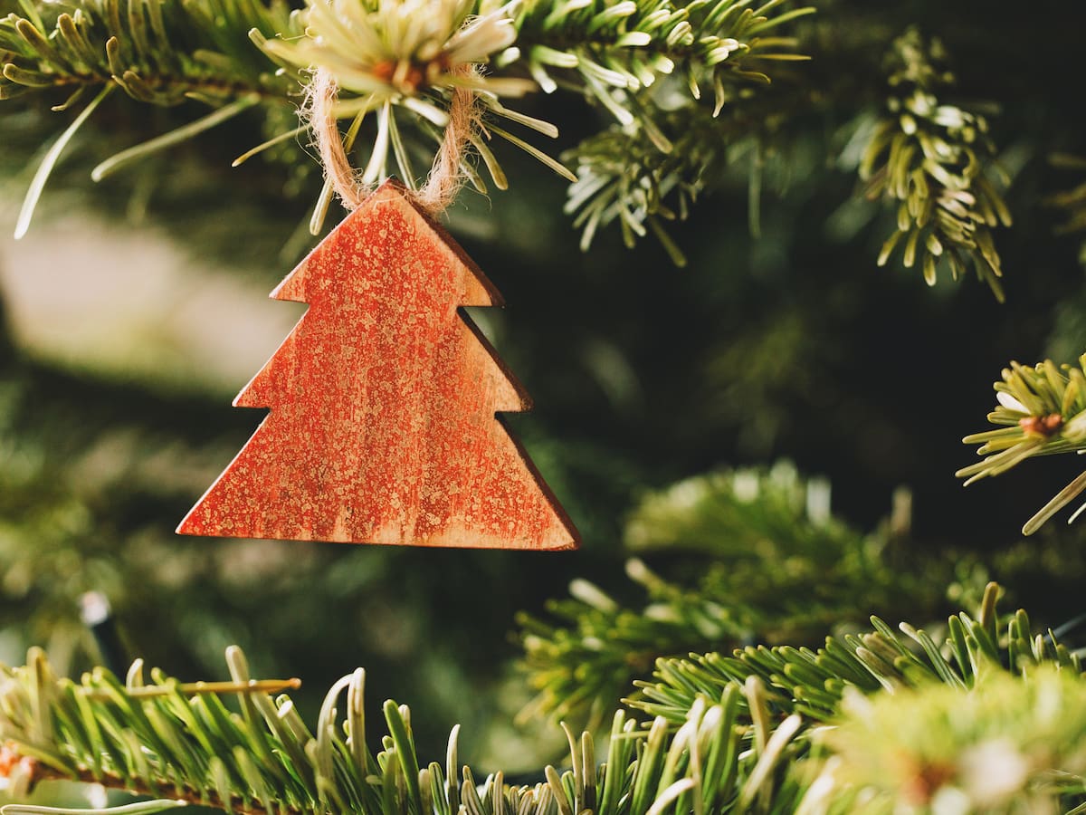 Cinco consejos para unas Navidades más sostenibles