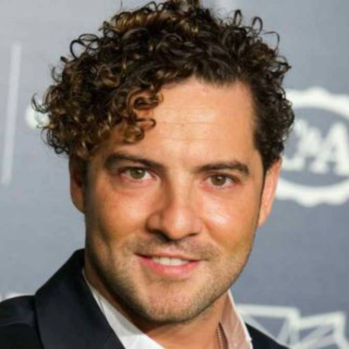 ¿David Bisbal estuvo con otra?