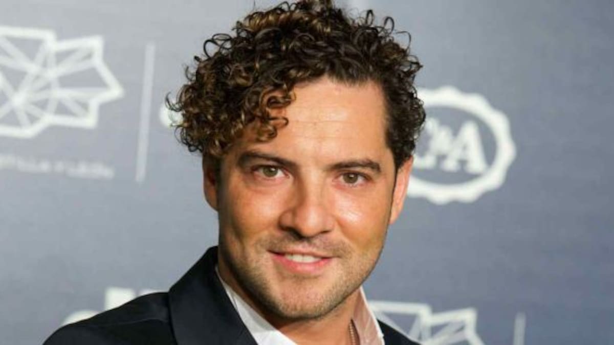 ¿David Bisbal estuvo con otra?