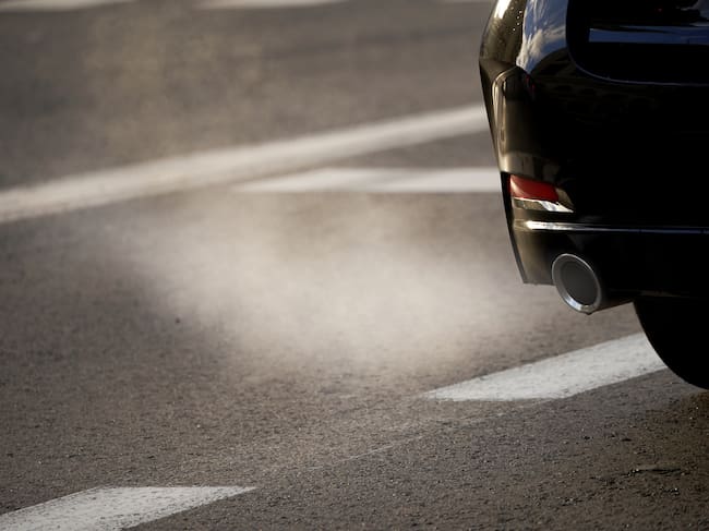 Los ecologistas advierten sobre los efectos de la contaminación sobre la salud.