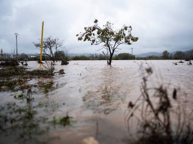 Una imagen de la dana del pasado año en Valencia.