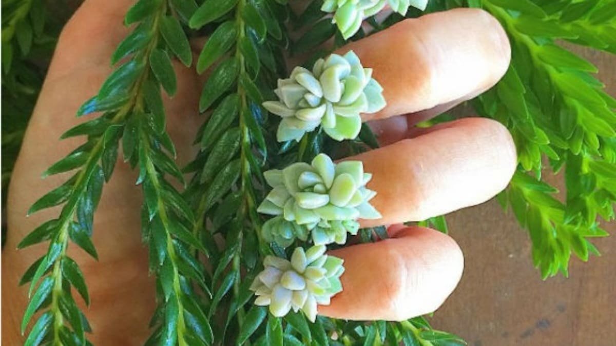 La última locura 'beauty' son las uñas con plantas