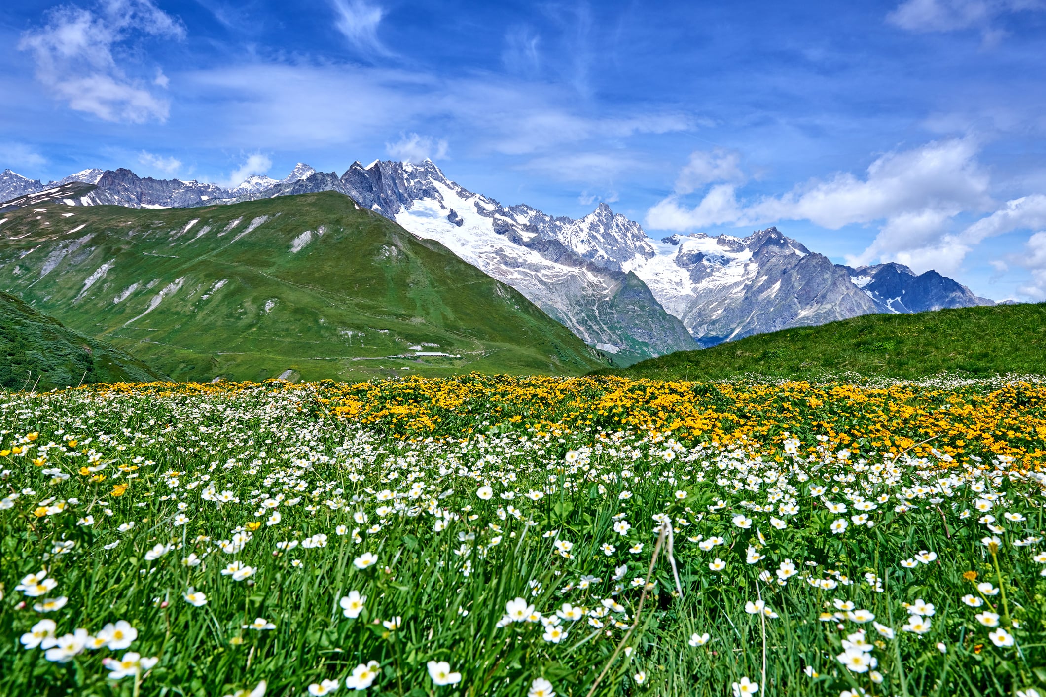 Los Alpes suizos, en primavera.