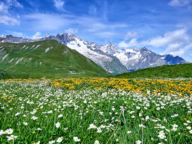 Los Alpes suizos, en primavera.
