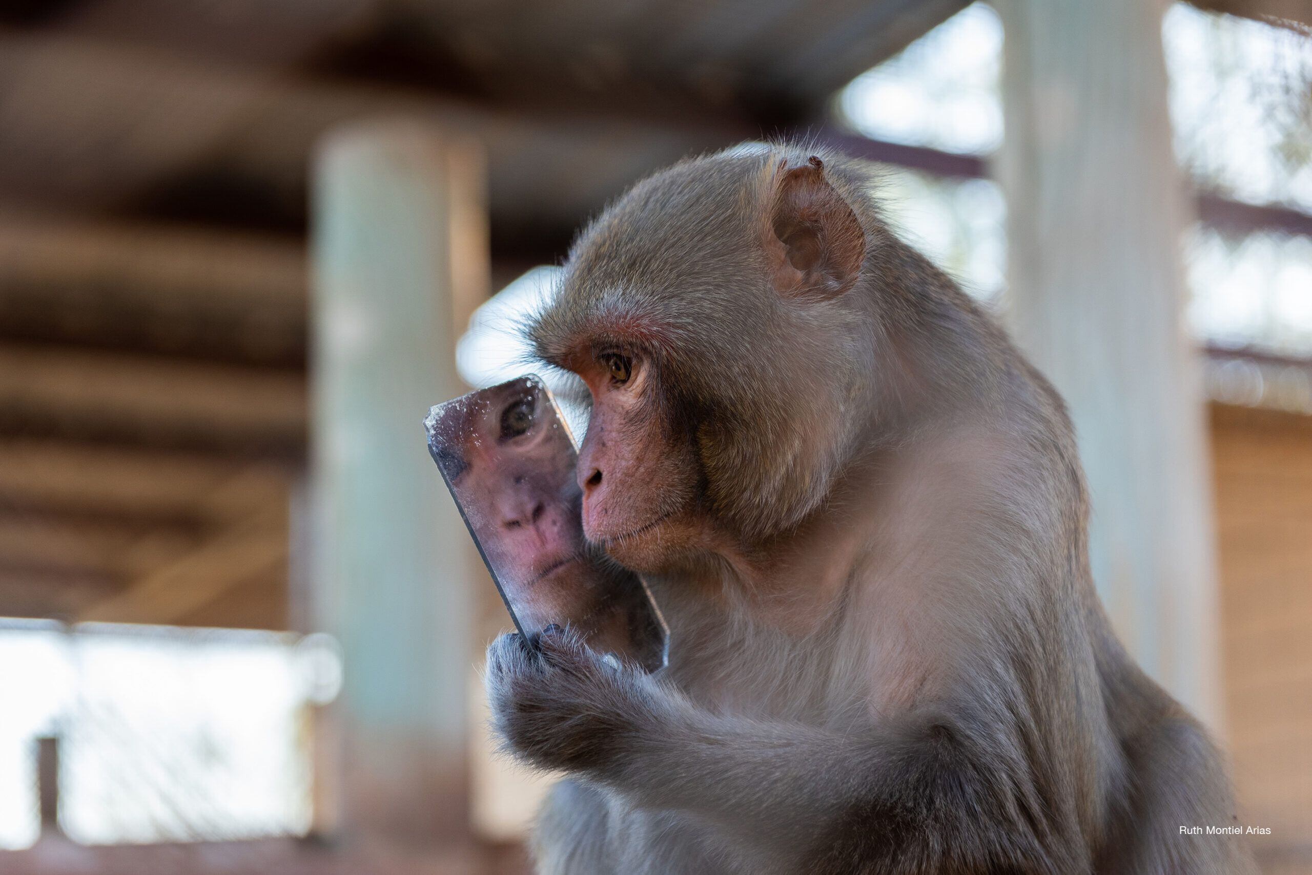 Foto: Ruth Montiel Arias.