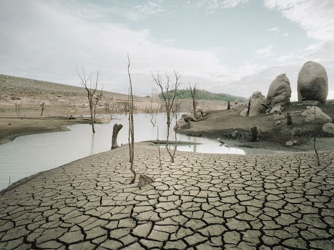 La lucha contra el cambio climático, en el dique seco.