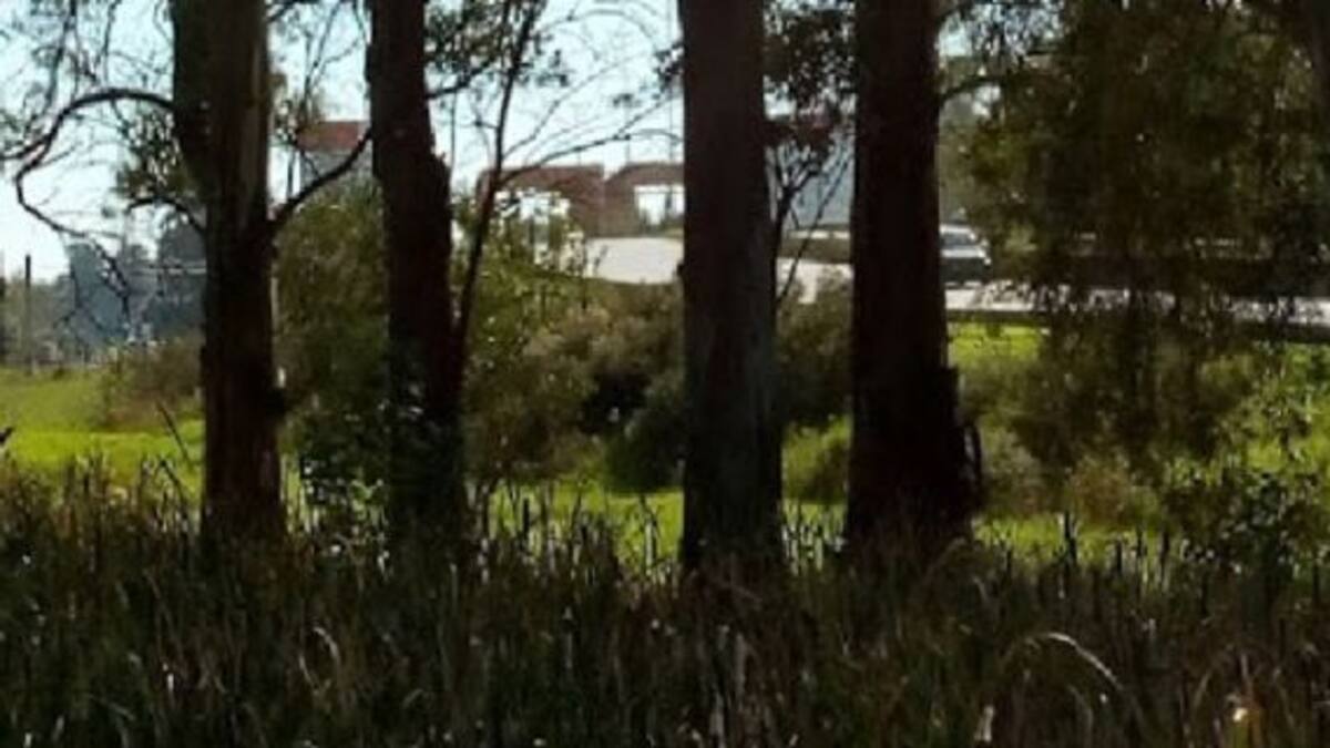 Navegaba por Google Maps y encontró una imagen terrorífica de una persona