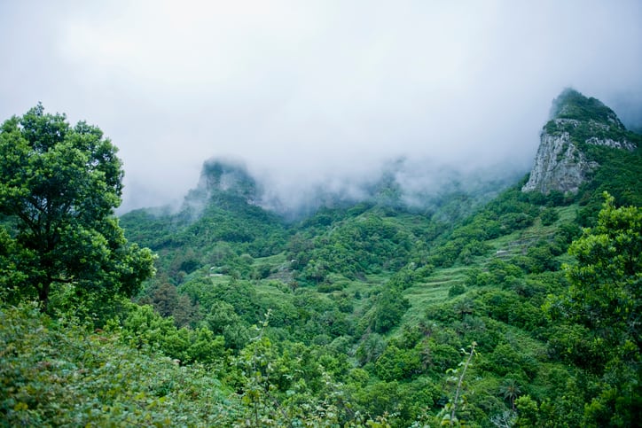 El Parque Nacional Garajonay National, La Gomera