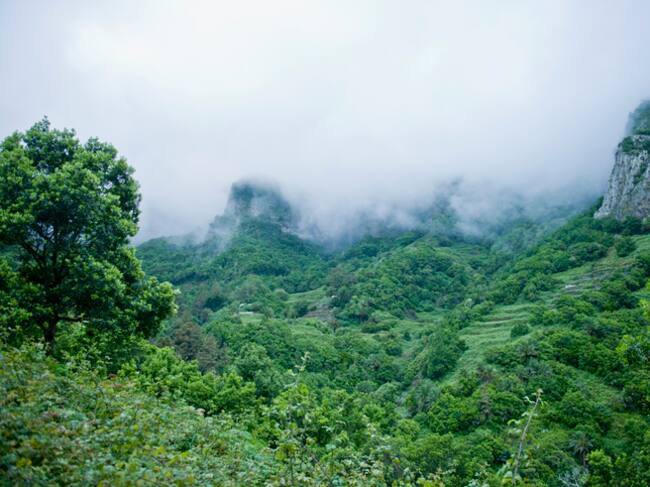 El Parque Nacional Garajonay National, La Gomera