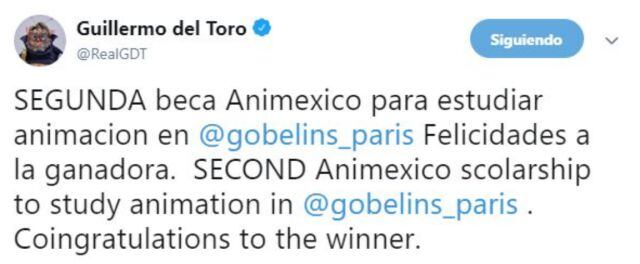 Guillermo del Toro ha ofrecido una beca completa a una joven mexicana de 26 años para estudiar animación en la Escuela de Imagen Gobelins, en París.