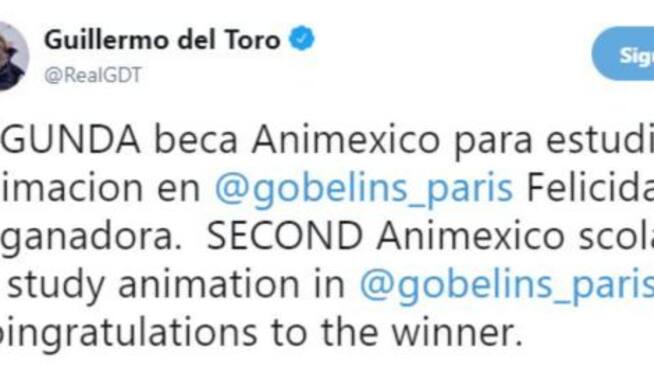 Guillermo del Toro ha ofrecido una beca completa a una joven mexicana de 26 años para estudiar animación en la Escuela de Imagen Gobelins, en París.