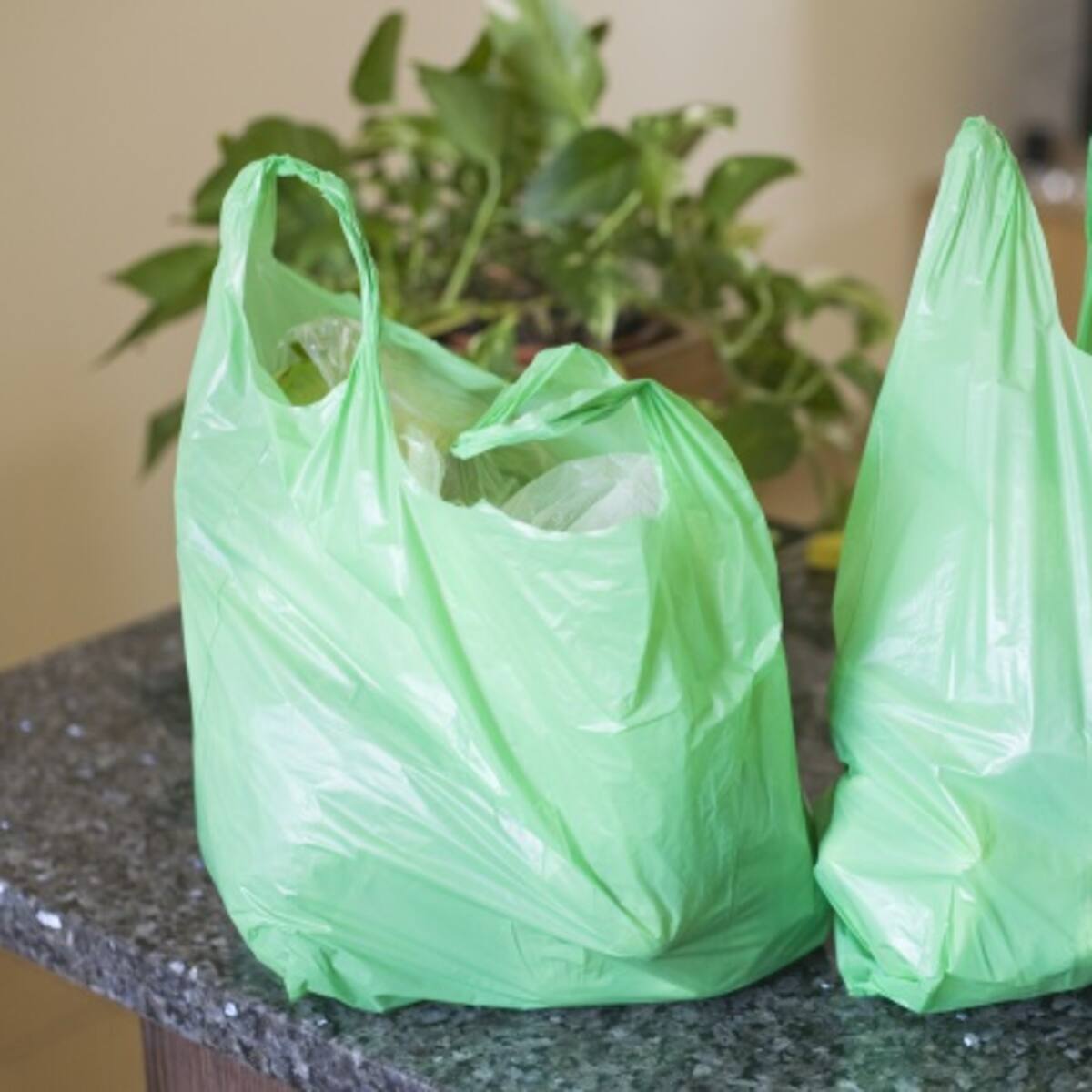No más bolsas plásticas