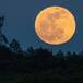 Luna llena de enero 2025: cuándo ver la ‘Luna del Lobo’