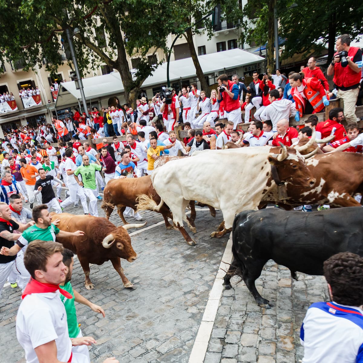 Séptimo encierro de Sanfermines 2026 de hoy, 13 de julio: horario, recorrido y dónde ver en directo