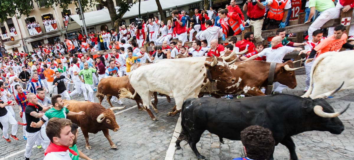 Encierro de toros en San Fermín, Pamplona