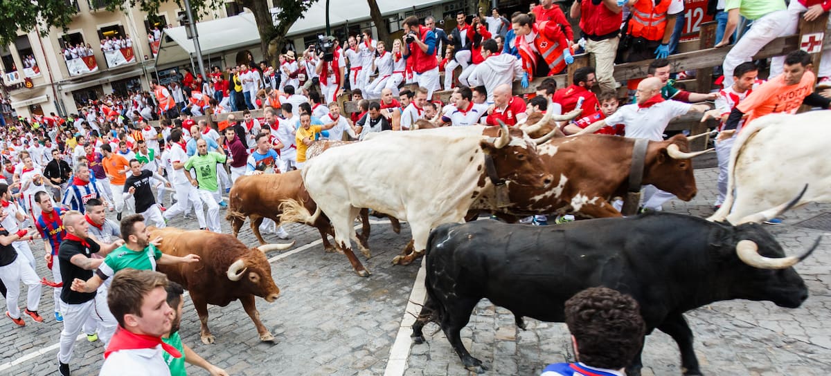 Encierro de toros en San Fermín, Pamplona