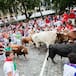 San Fermín 2026 hoy, 8 de julio: programa, conciertos gratis y horarios
