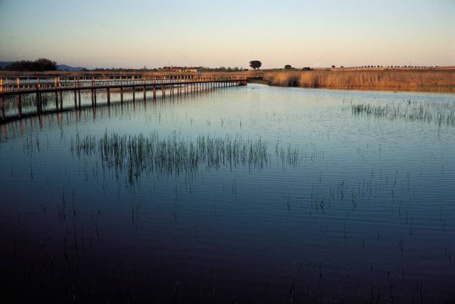 Las tablas de Daimiel.