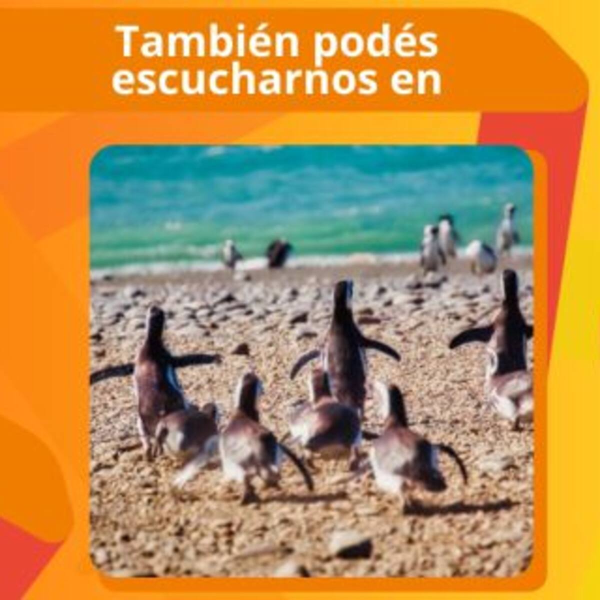 ¡LOS40 sigue creciendo!