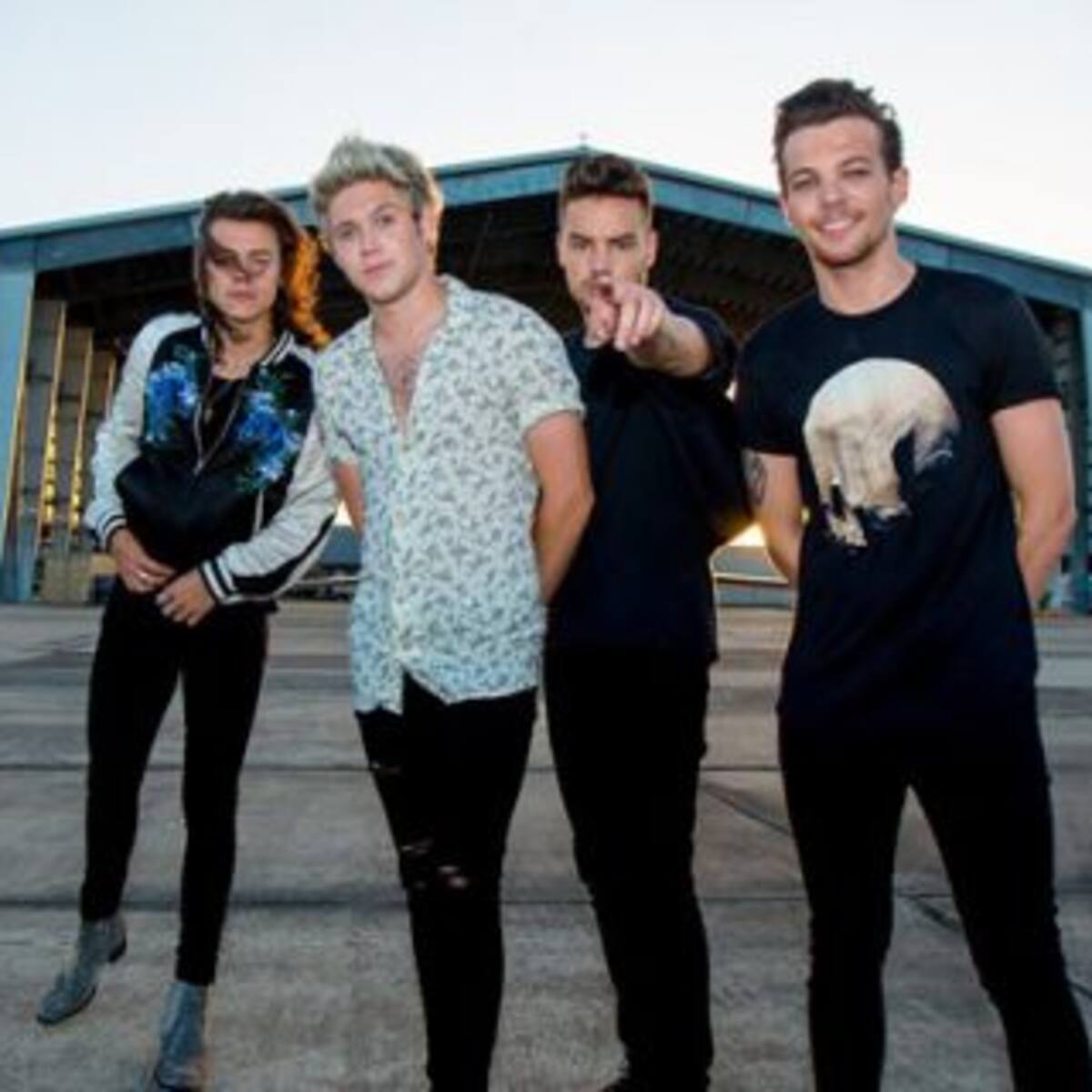 Niall Horan rompió el silencio sobre la separación de One Direction