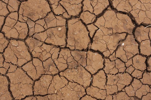 El calentamiento global puede afectar a todas las formas de vida