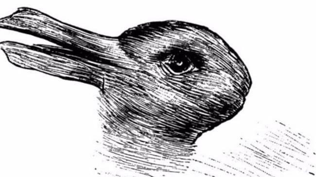 Pico u orejas, esa es la cuestión