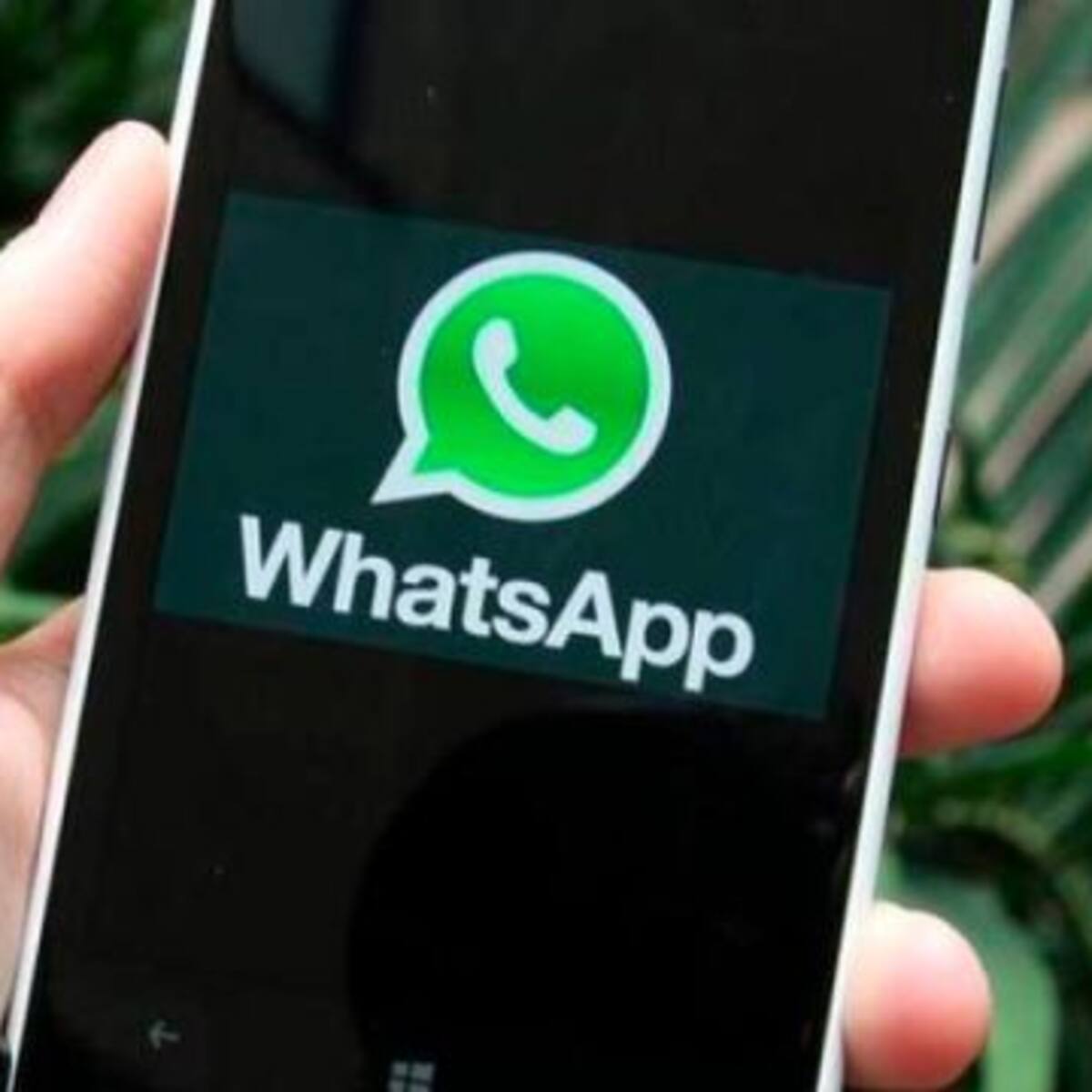 Habilitaron una opción en WhatsApp para ver más seguido a tus amigos