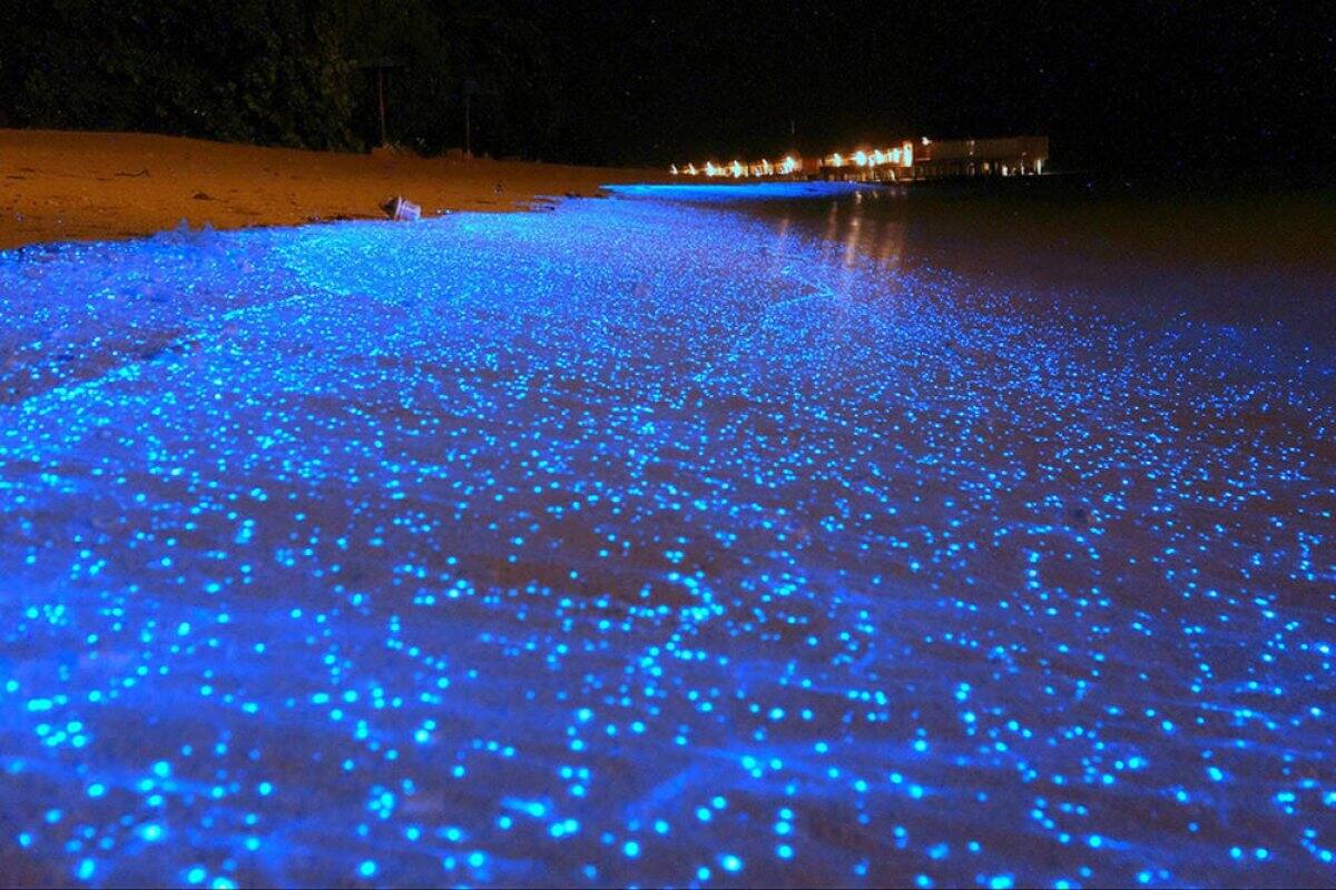 Mar de Estrellas, Isla Vaadhoo, Maldivas